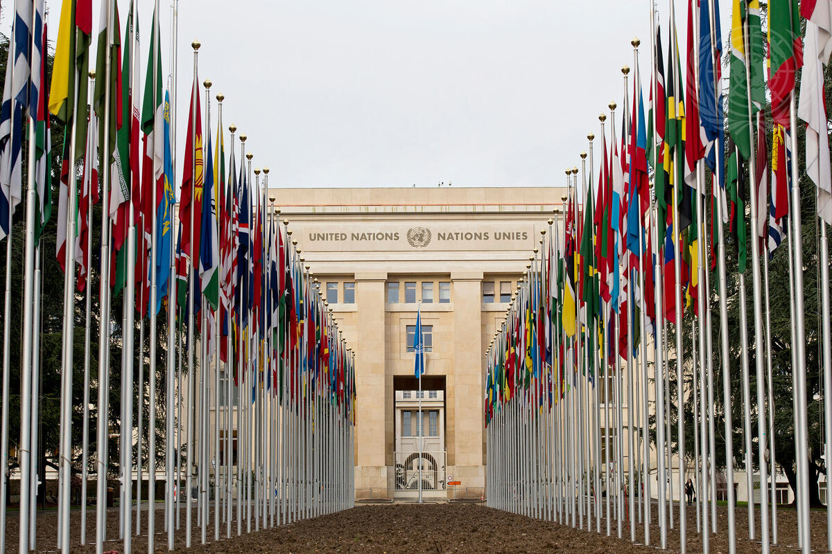 The united nations organization презентация